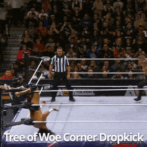 a wrestling ring with the words tree of woe corner dropkick on it