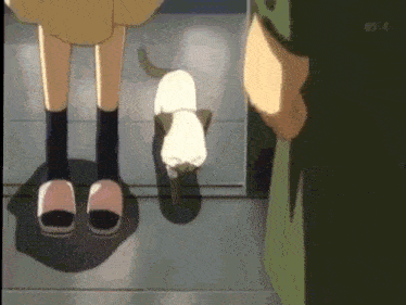 a girl standing next to a cat that is looking at her