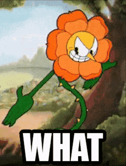 a cartoon flower with a yellow face and the word what below it