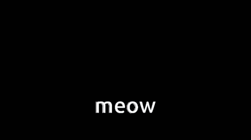 a black and white cat is standing on a carpet and the word meow is above it
