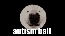 a full moon with the words `` autism ball '' written on it .
