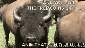 a herd of bison standing in a grassy field with the words `` thank you for the free coins gifts . ''
