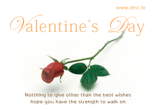 a valentine 's day greeting card with a single rose