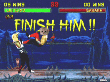 a screenshot of a video game that says finish him on it