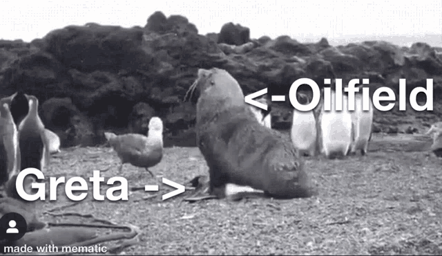 Greta Oil GIF - Greta Oil Seal GIFs