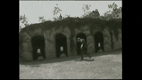 a black and white photo with the word wow on the bottom right