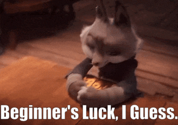a fox sitting on a wooden floor with the words beginner 's luck i guess below it