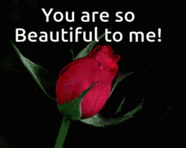 You Are So Beautiful GIF - You Are So Beautiful GIFs