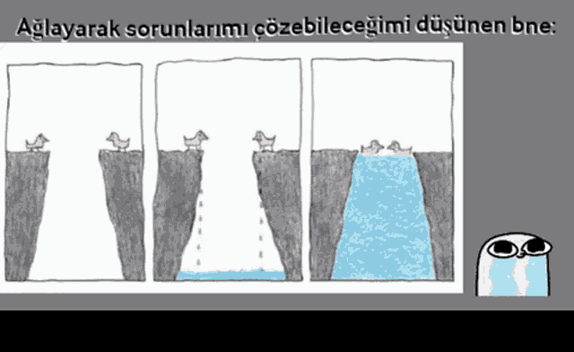 a cartoon of ducks standing on a cliff with the caption " aglayarak sorunlarimi çözebileceğimi düşündün bne "