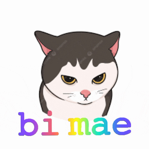 a black and white cat with the word bi mae in rainbow colors