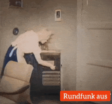 roundfunk aus is written on the bottom of a picture of a woman