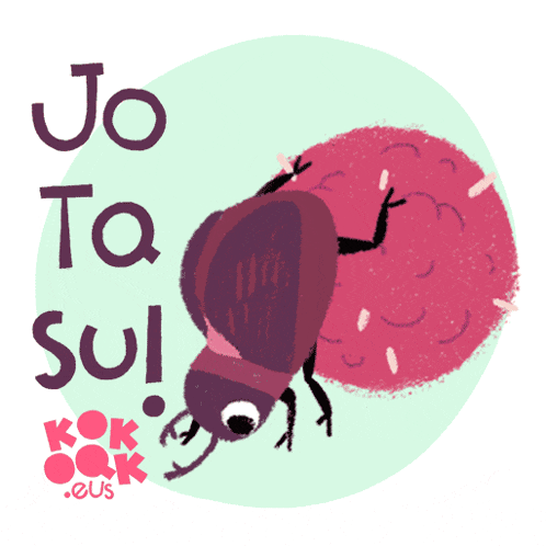 an illustration of a bug with the words jo ta sul written on it