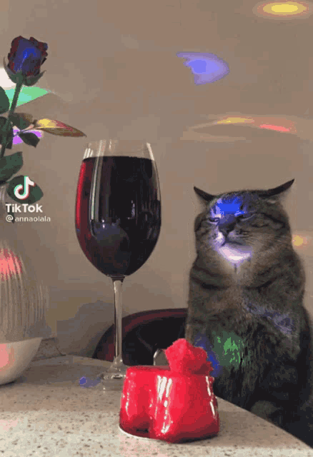 Sad Cat Sad Cat Drinking Wine Disco GIF - Sad Cat Sad Cat Drinking Wine Disco GIFs