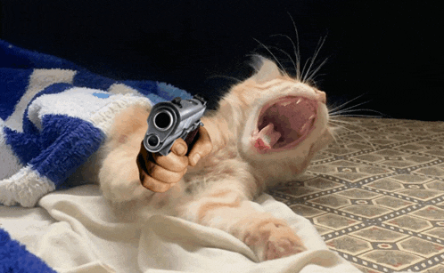 a kitten laying on a bed with its mouth open holding a gun