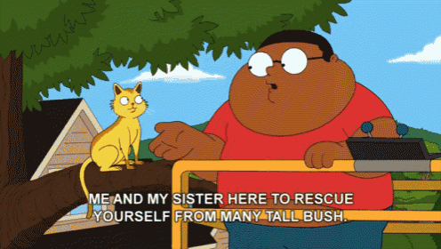 a cartoon of a man talking to a cat with the words " me and my sister here to rescue yourself from many tall bush "