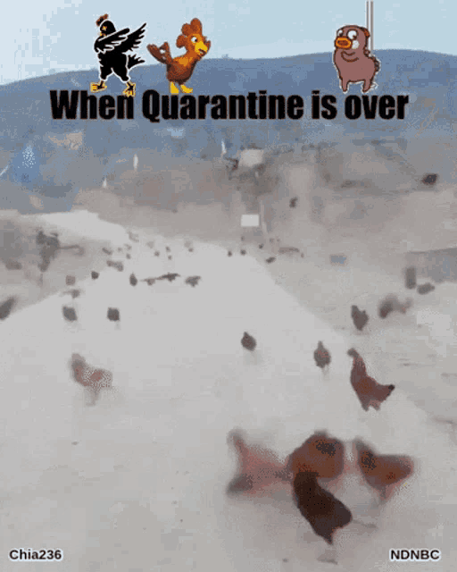 When Quarantine Is Over Freedom GIF - When Quarantine Is Over Freedom Im Free GIFs