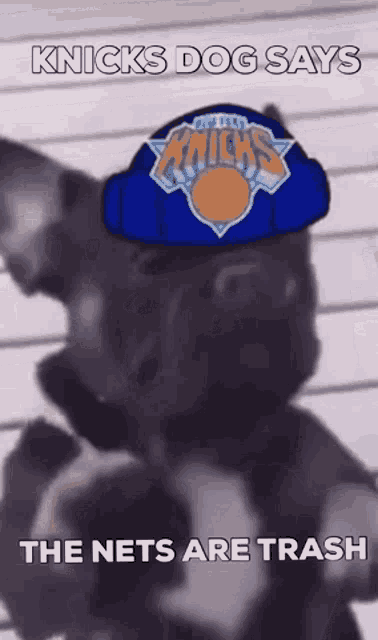 Knicks Nets GIF - Knicks Nets GIFs