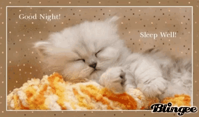 a kitten is sleeping on a blanket with the words good night sleep well on the bottom