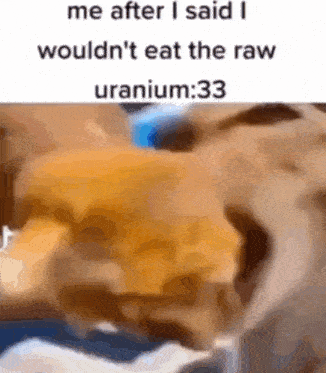 Cat Uranium GIF - Cat Uranium Silly GIFs