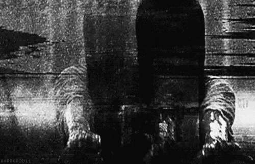 a black and white photo of a person 's shadow .