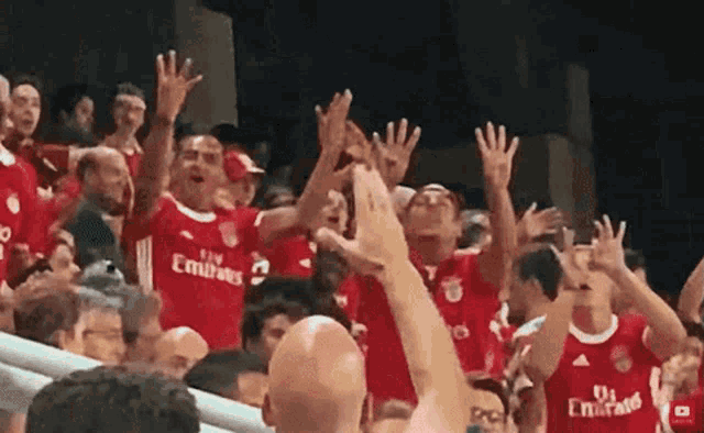a crowd of people wearing red emirates jerseys are cheering