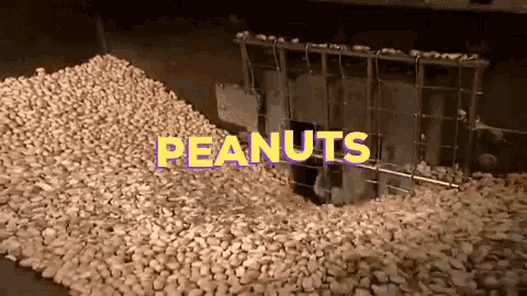 Peanuts Peanut GIF - Peanuts Peanut Factory GIFs