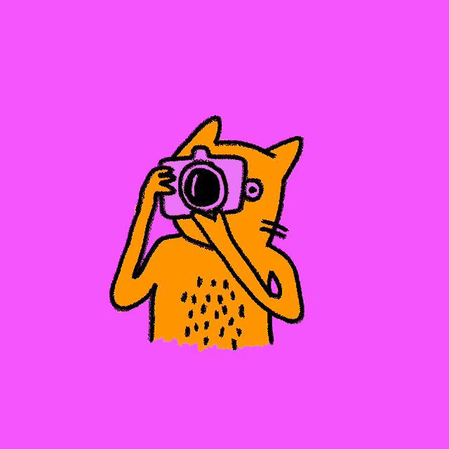 a cartoon drawing of a cat taking a picture