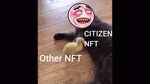 Citizen Nft GIF - Citizen Nft Funny GIFs