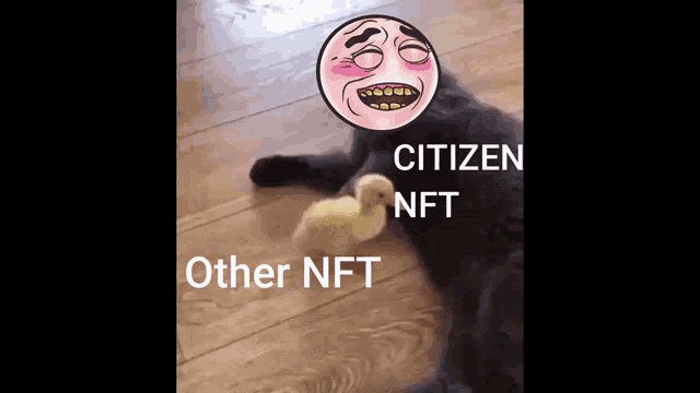 a cat is laying on the floor next to a small duck with a citizen nft face on it