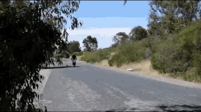 a person riding a motorcycle down a road with trees on the side