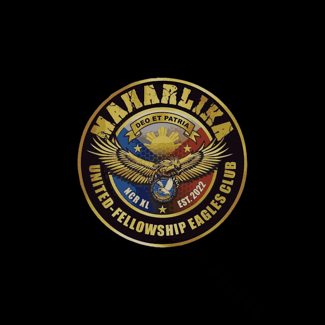 a logo for a company called asylahan with an eagle in the middle