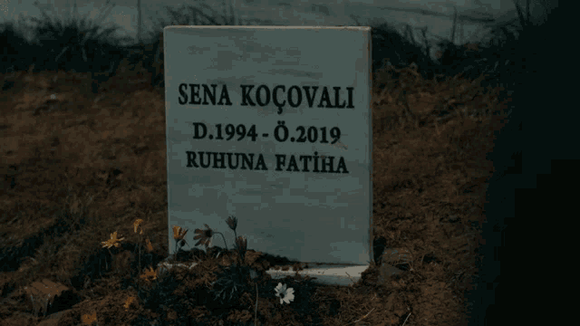 a gravestone in a cemetery with the name sena kocovali on it