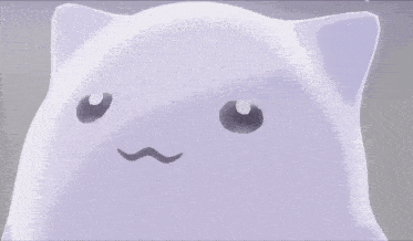 a white cat with a mustache and a slight smile on its face