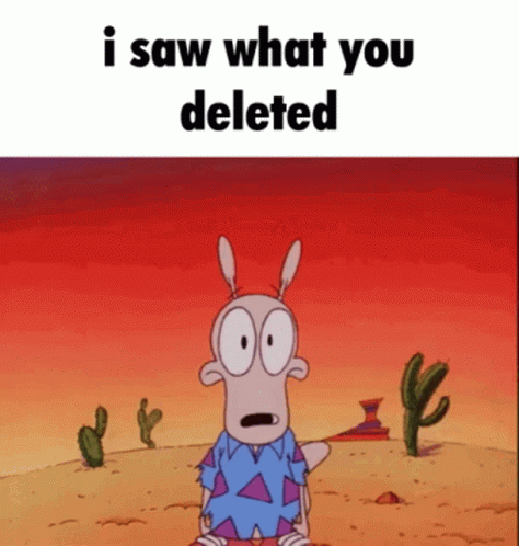 I Saw What You Deleted Rockos Modern Life GIF - I Saw What You Deleted Rockos Modern Life Rocko GIFs