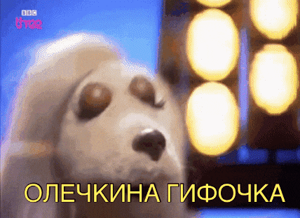 a close up of a dog with the words olechkina gifouka on the bottom right