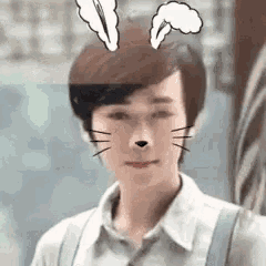 a man wearing bunny ears and a cat face mask .