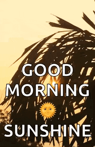 a good morning sunshine greeting card with a sun and a palm tree