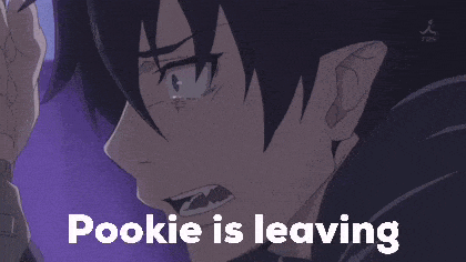 a pookie is leaving meme with a picture of a boy