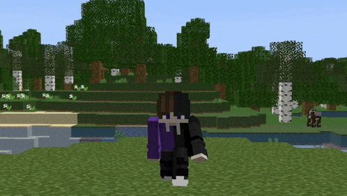 Minecraft Zendrr GIF
