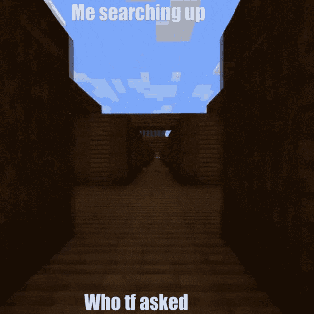 Minecraft Me GIF - Minecraft Me Me Searching Up Who Tf Asked GIFs