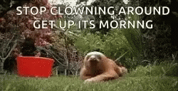 Stop Clowning Around Morning GIF - Stop Clowning Around Morning Crawling GIFs