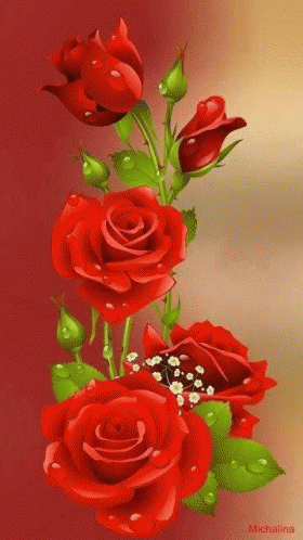 Colors Roses GIF - Colors Roses Changing GIFs