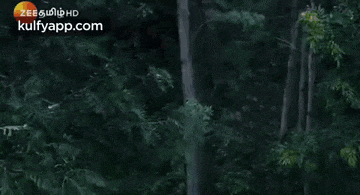 a man in a camouflage shirt is standing in the woods with the words zee hd and kulfyapp.com on the bottom