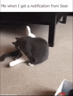 a gray and white cat is laying on the floor next to a table .