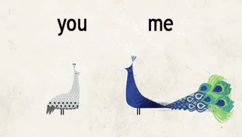 Me Vs You GIF - Peacock You Me GIFs