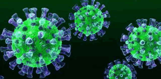 a group of green and purple viruses floating in the air on a black background .