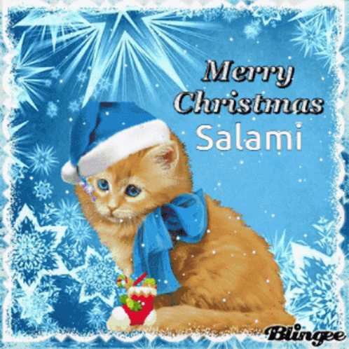 Merry Christmas Salami Cat GIF - Merry Christmas Salami Cat GIFs