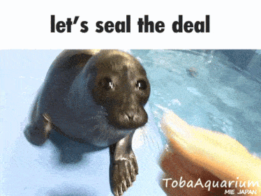 Let'S Seal The Deal Dap Me Up GIF