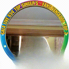 a colorful button with the words sala live 654 top singer 's fans vencedor top 2