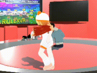 a video game called rulexvr is being played in a room